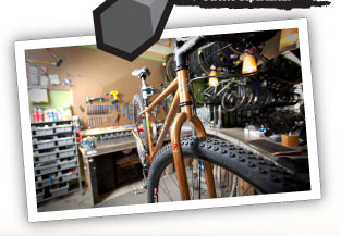 Tree Fort Bikes Service Deaprtment Picture